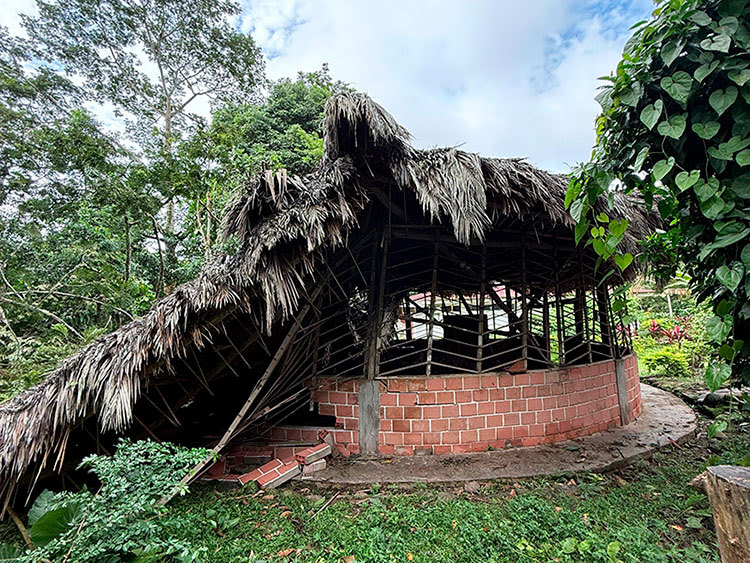 Ayuda Para La Reconstrucción De La Maloca De Takiwasi